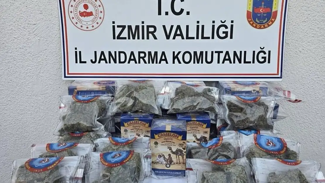 Jandarma ekiplerinden zehir taciri avı: Ele geçirilenler pes dedirtti