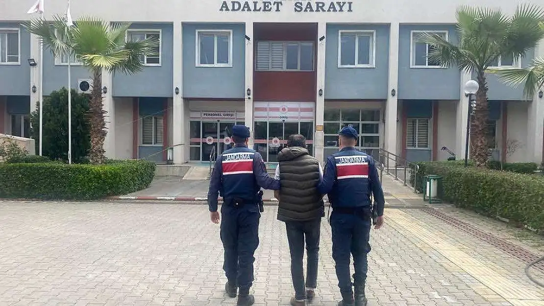 Jandarma’dan Aydın’da  operasyon