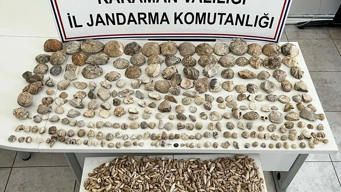 Jandarma'dan operasyon! 780 adet bitki ve hayvan fosili ele geçirildi…