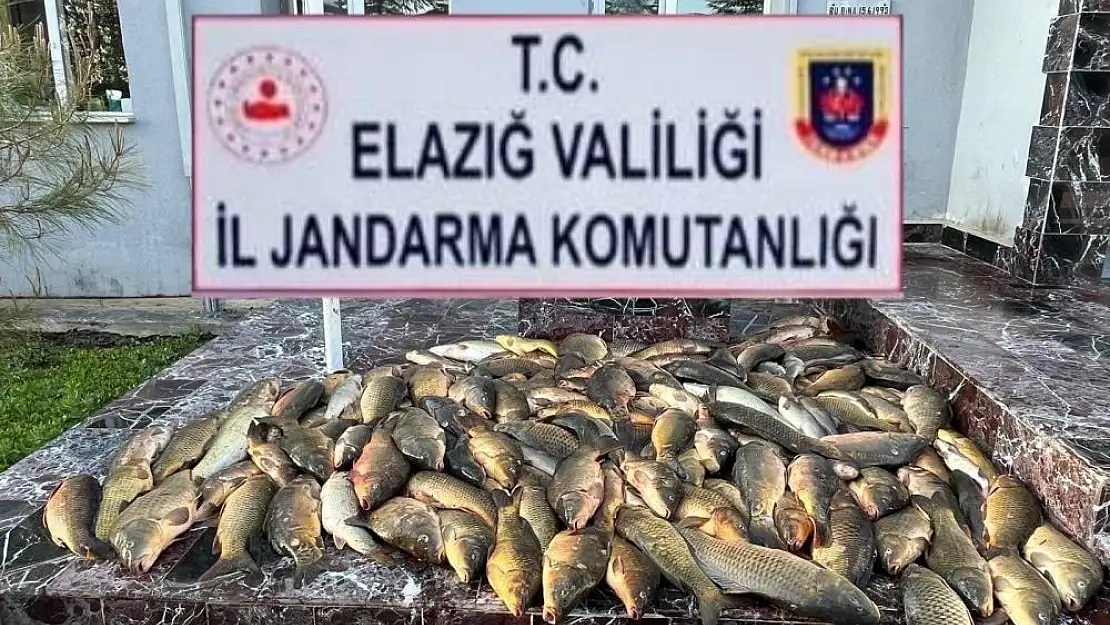 Kaçak balık avına büyük ceza