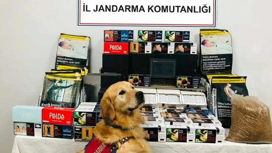 Kaçak sigara imalathanesine baskın