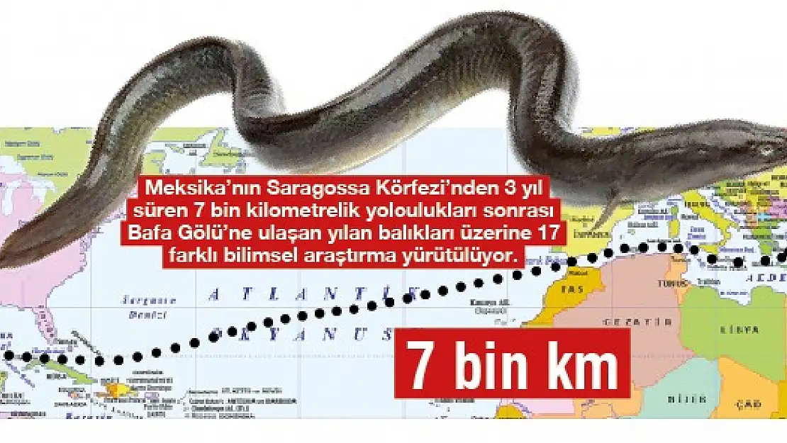 Kanserin şifası, 7 bin kilometreden geldi