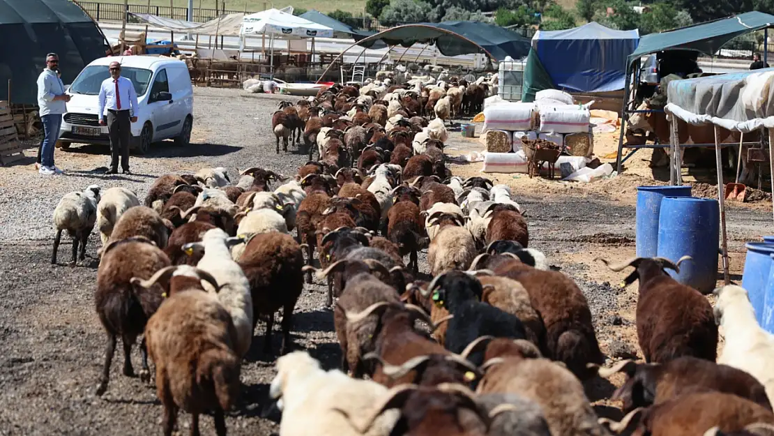 Karabağlar Belediyesi'nden Kurban Bayramı öncesi örnek hizmet