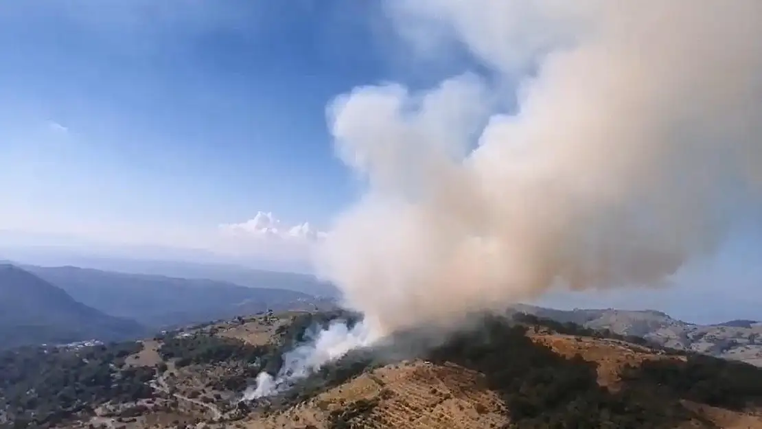 Karabağlar’da orman yangını!