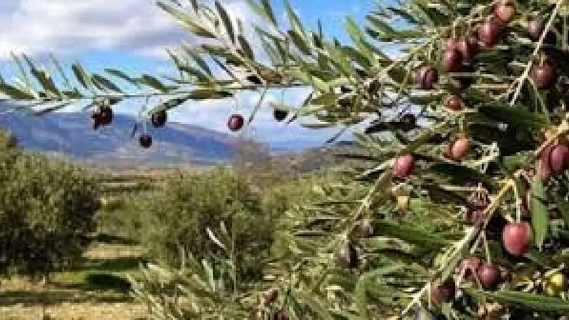 Karaburun’da çevre mücadelesi