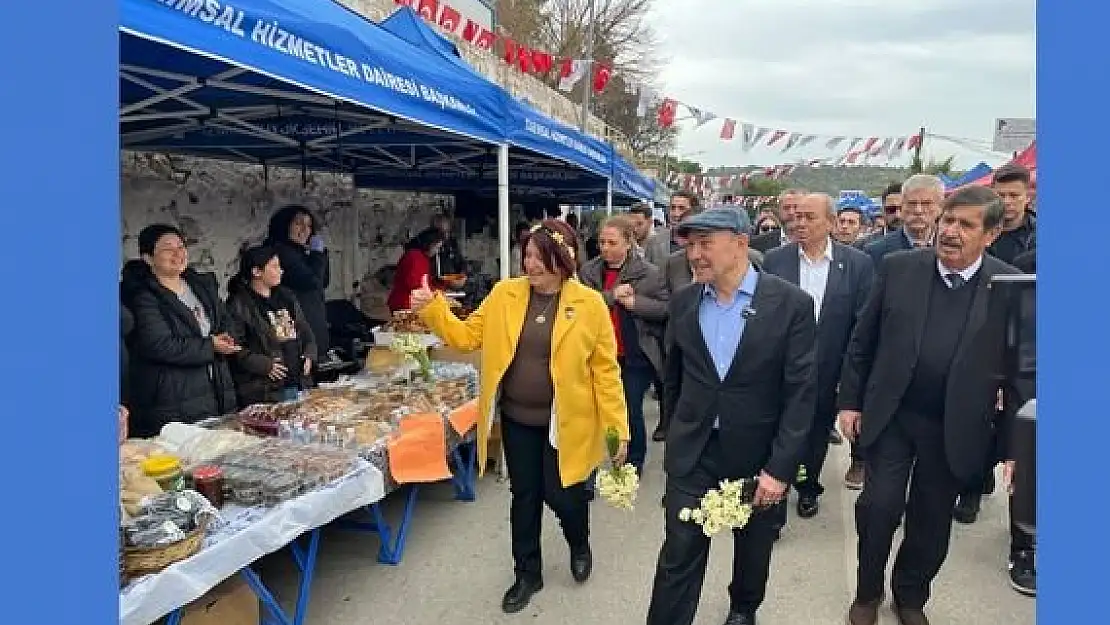 Karaburun'da Nergis Festivali izdihamı!