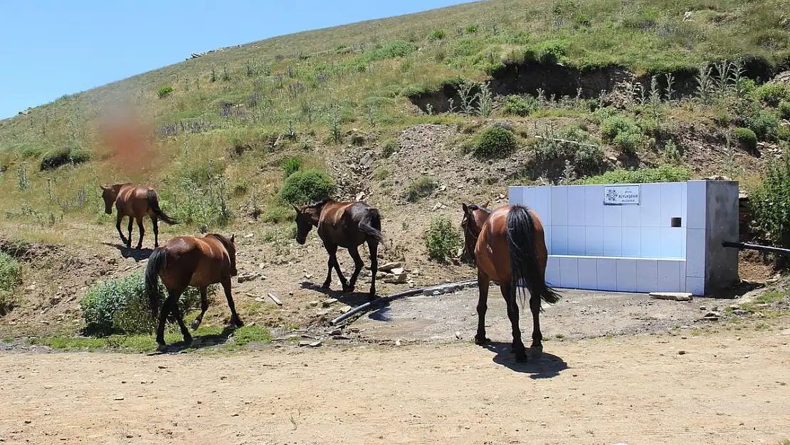 Karlık Çeşmesi yaban hayatını kolaylaştırıyor