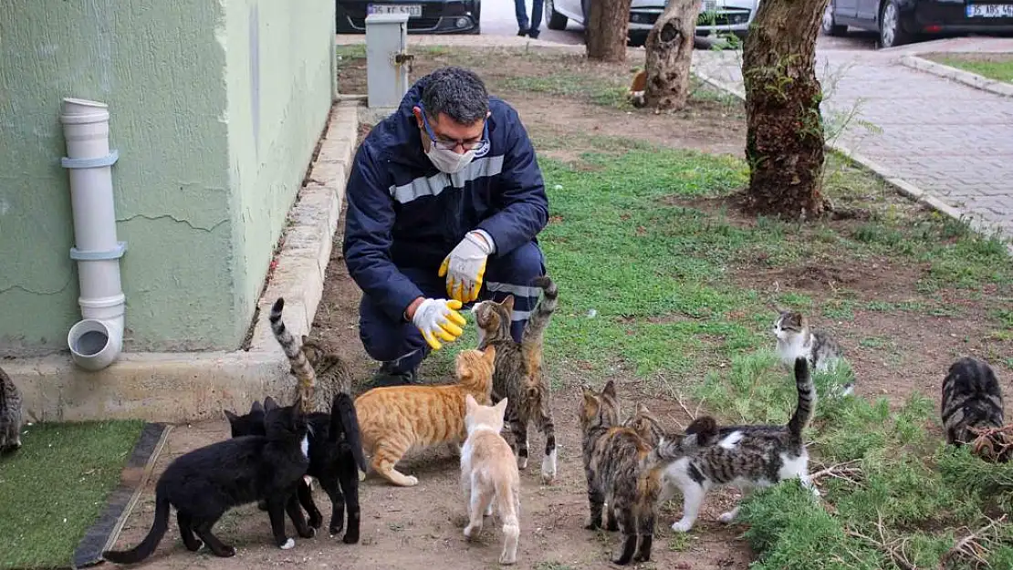 Karşıyaka 8 ayda 24 bin can dosta hizmet sundu