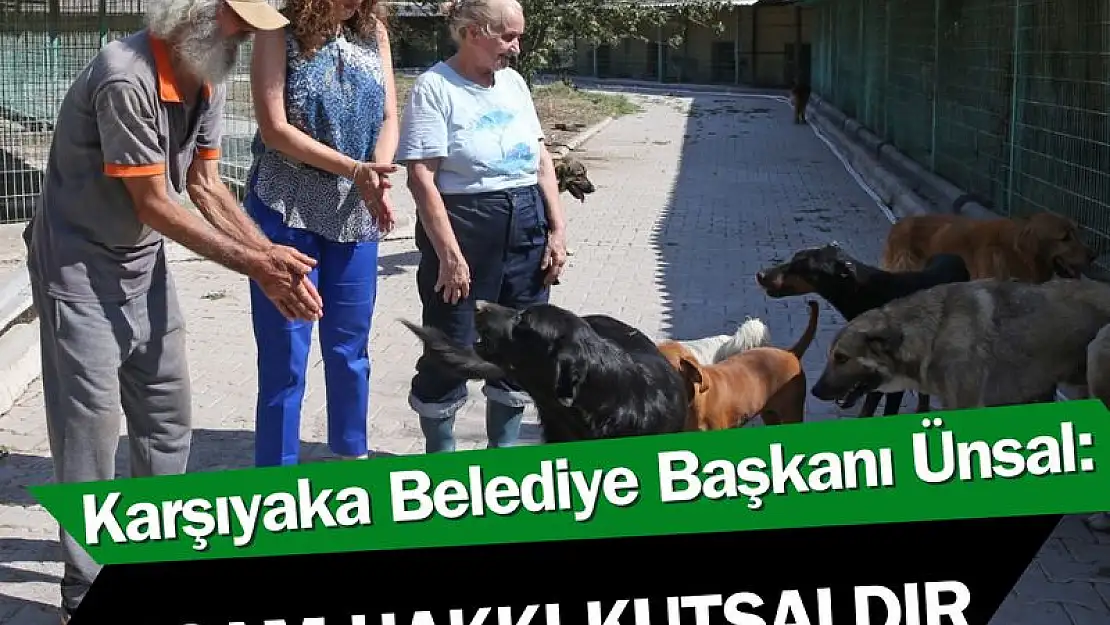 Karşıyaka Belediyesi yılda 7000 hayvan kısırlaştırıyor