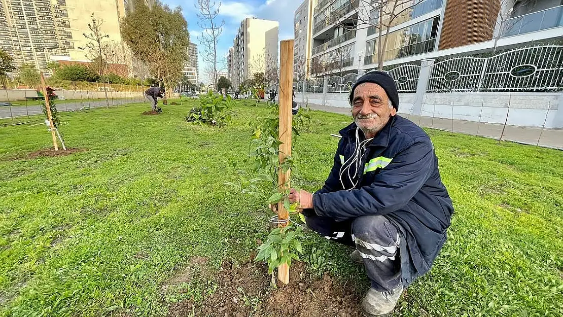 Karşıyaka meyve bahçesine dönecek