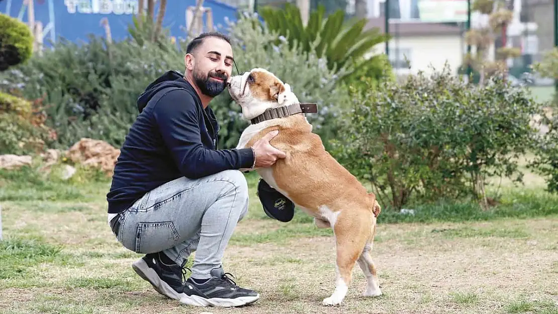 Karşıyaka'da hayvanlar ile doğru iletişim eğitimi