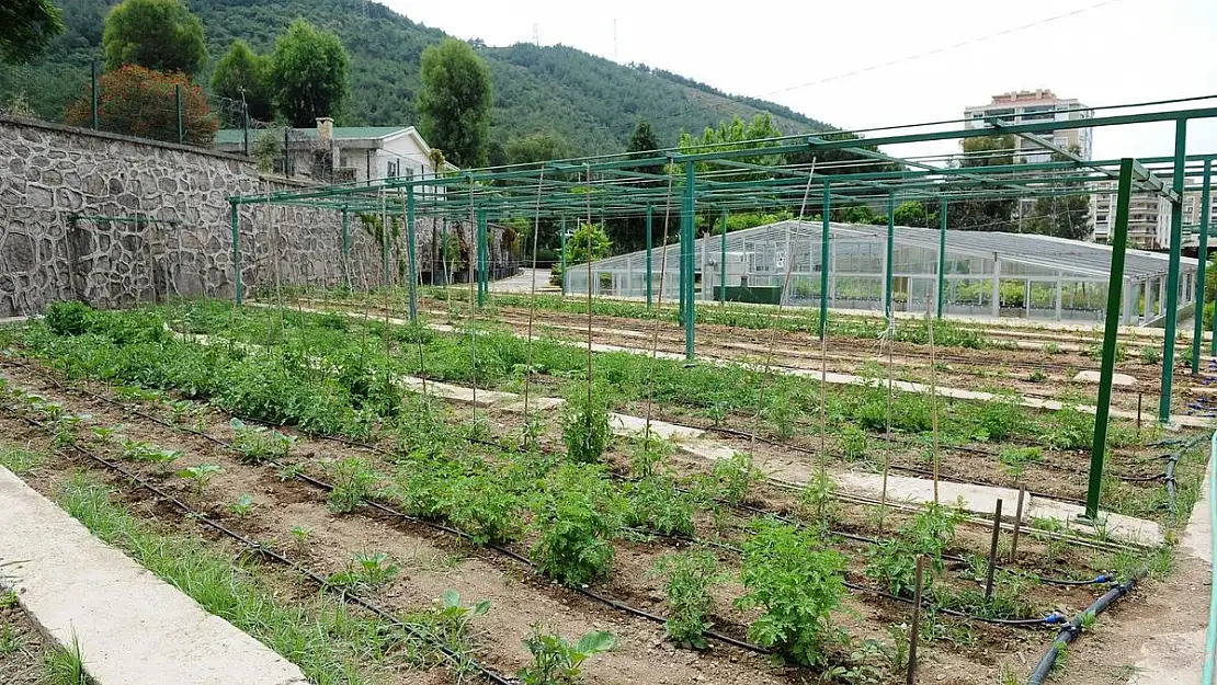 Karşıyaka’da kentsel tarım güçleniyor!