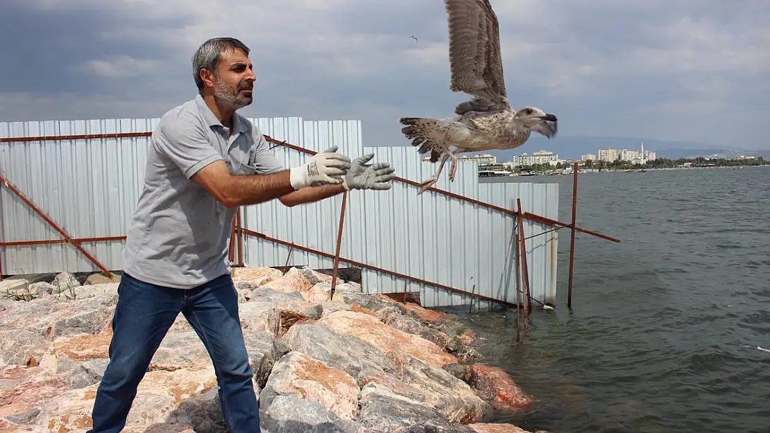 Karşıyaka’daki yorgun martılar ayrılıyor