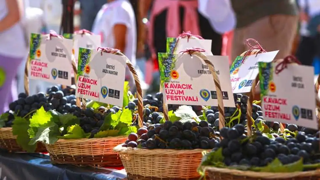 Kavacık Üzüm Festivali 11. kez kapılarını açıyor