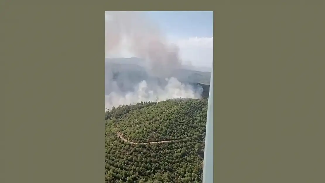 Kaz Dağları eteklerinde çıkan yangın korkuttu