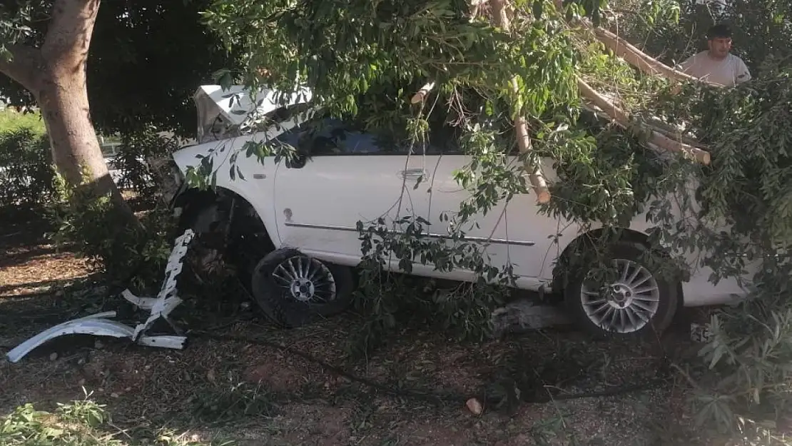 Kaza geliyorum dedi: Yoldan çıkan araç ağaca vurdu!