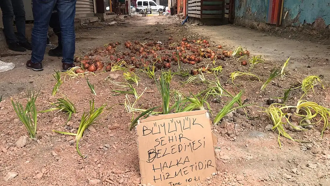 Kemeraltı’na soğan ektiler