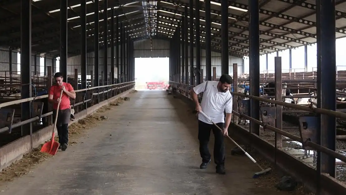 Kendi kendine yeten çiftlik kurdular, ucuz etin formülünü buldular