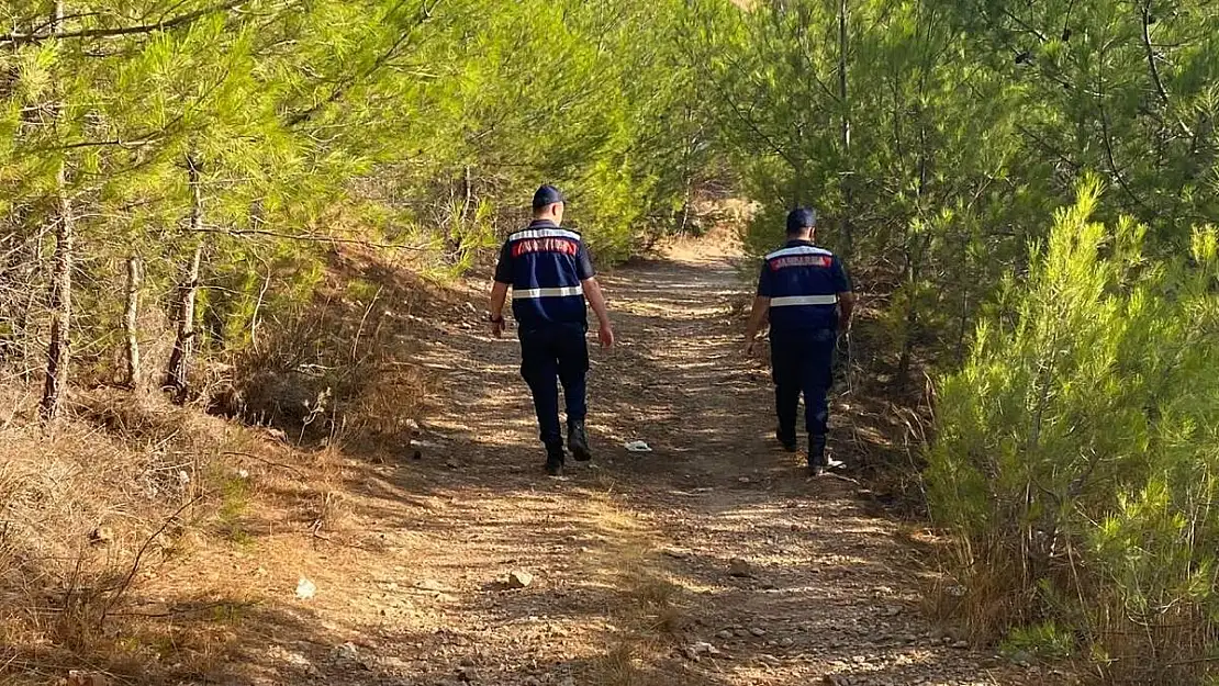 Kendini ceviz ağacına asarak yaşamına son verdi