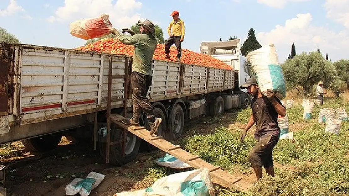 Kimileri evinden çıkamazken onlar 43 derece sıcakta çuval taşıdı