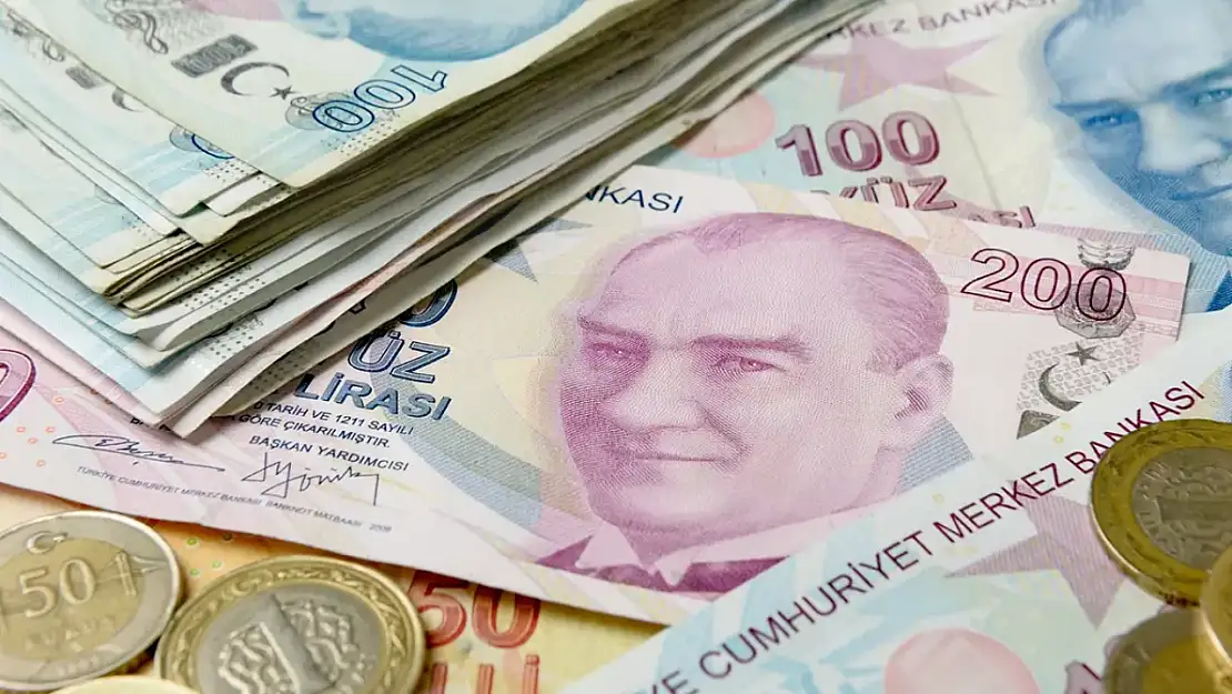 Kimlik numaranızın son hanesini kontrol edin: Ödeme yapılacak