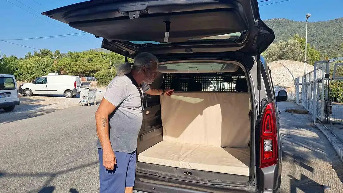 Kısırlaştırılmak için merkeze götürülen kedi, aracın camını kafasıyla kırıp araçtan kaçtı