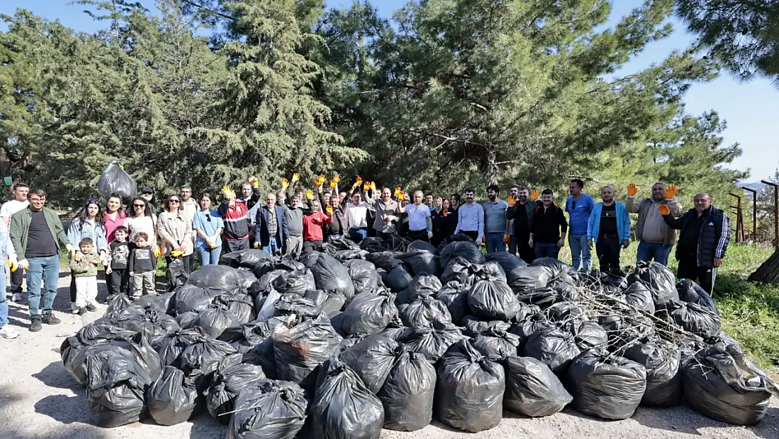 Konak'ta büyük küçük ormana daldılar: Çuval çuval topladılar