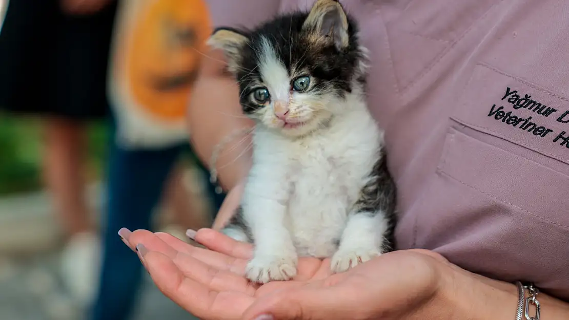 Konak'ta can dostlara yeni ev