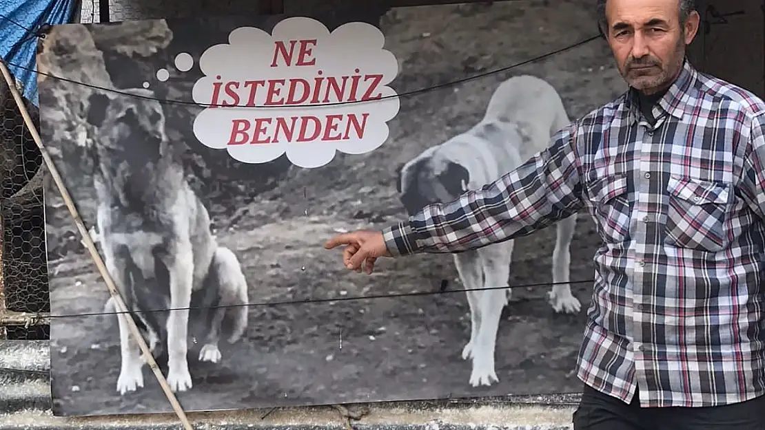 Köpeğini zehirleyenlere afişle tepki gösterdi