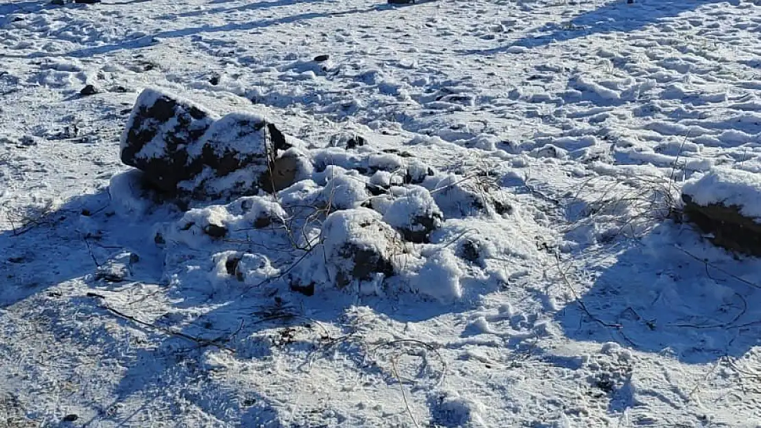 Köpek dövüştürenlere baskın!