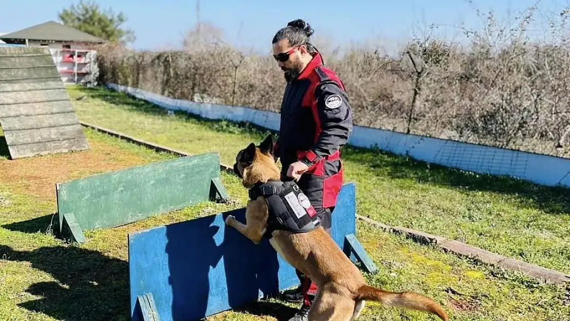 Körfez Belediyesi’nin köpekli Arama Kurtarma timi eğitimleri başladı!