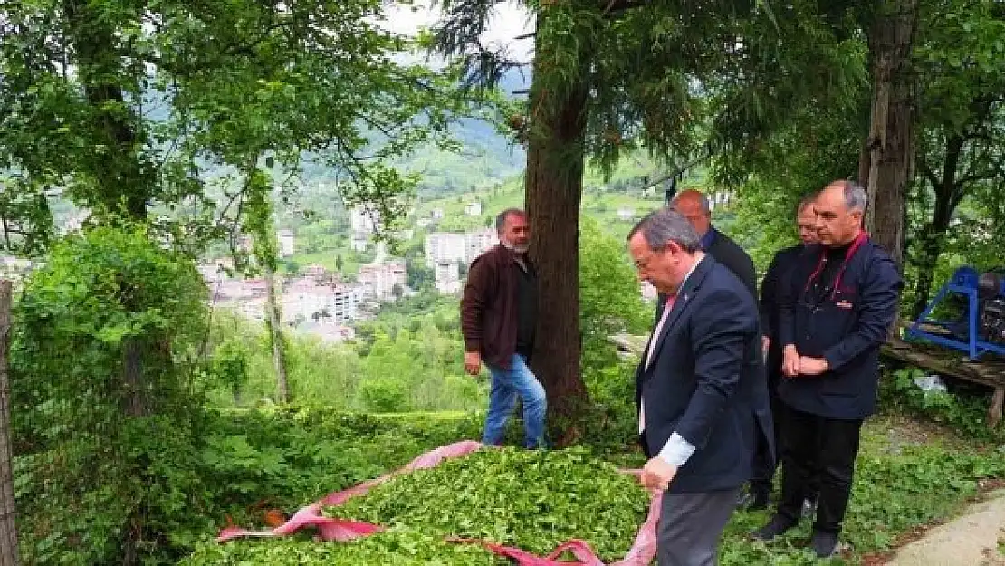 Korunan alanlara 4 milyonun üzerinde ziyaretçi gitti