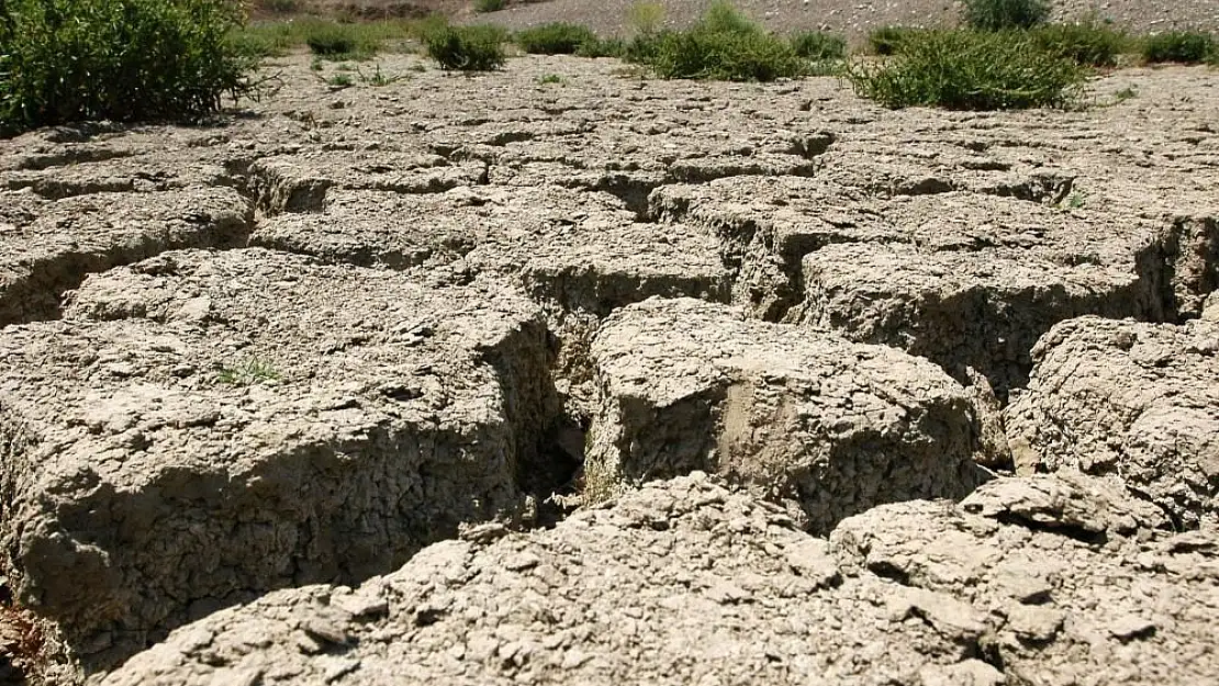 Kuraklık Ege'yi ağır vuracak   