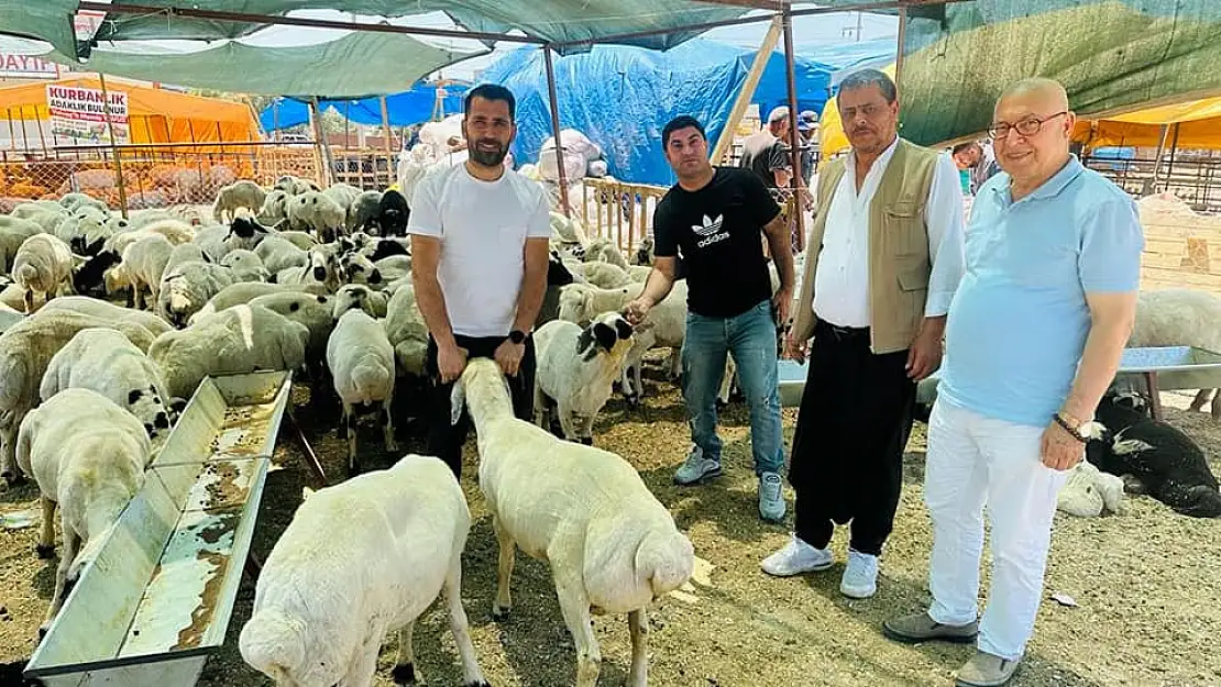 Kurban Bayramı’na iki gün kalan Torbalı kurban pazarında hareketlilik arttı