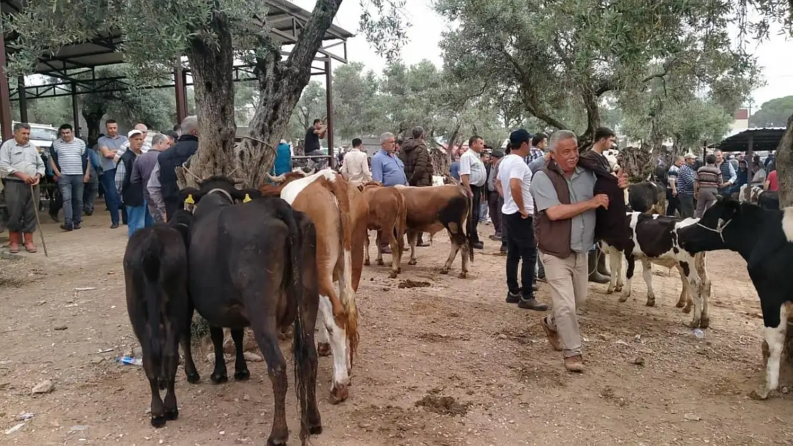 Kurban fiyatları cep yakıyor