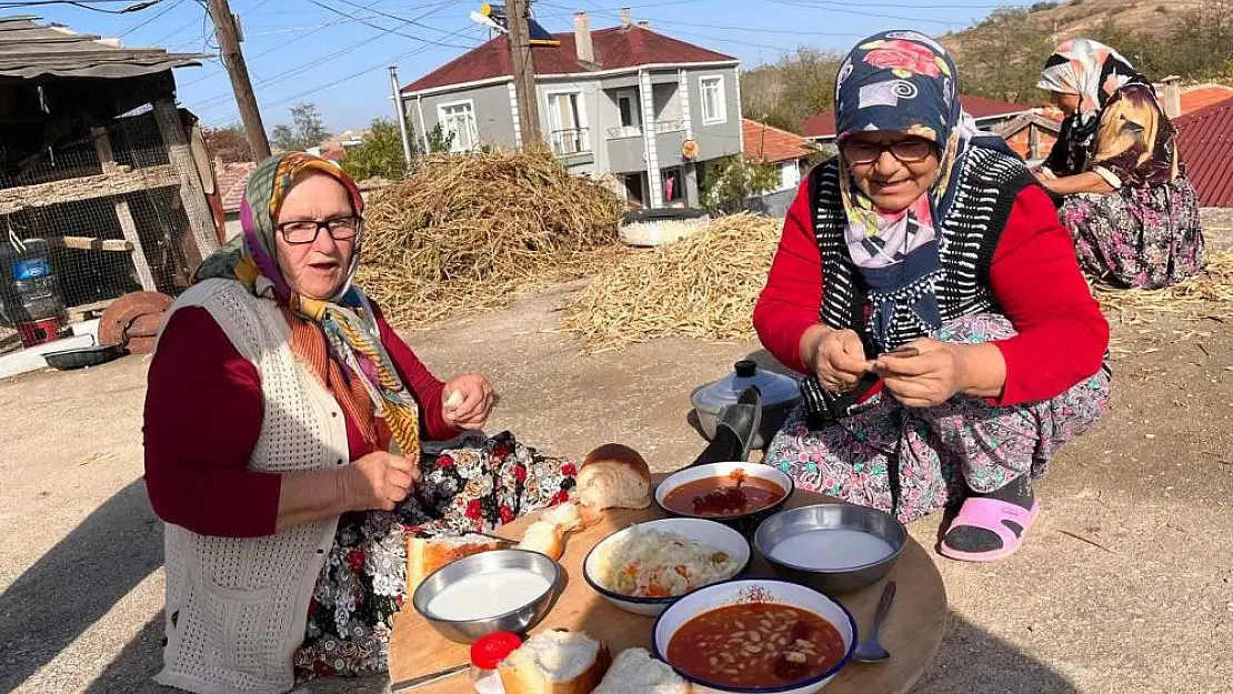 Kuru fasulyenin zorlu hasat mesaisi