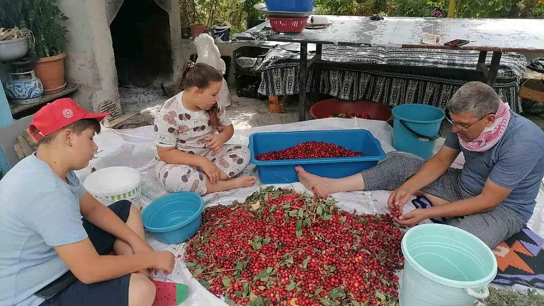 Kütahya’da kızılcık üretimi düştü, fiyatlar ikiye katlandı