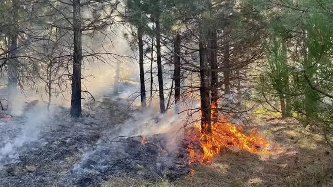 Kütahya'daki orman yangını kontrol altına alındı