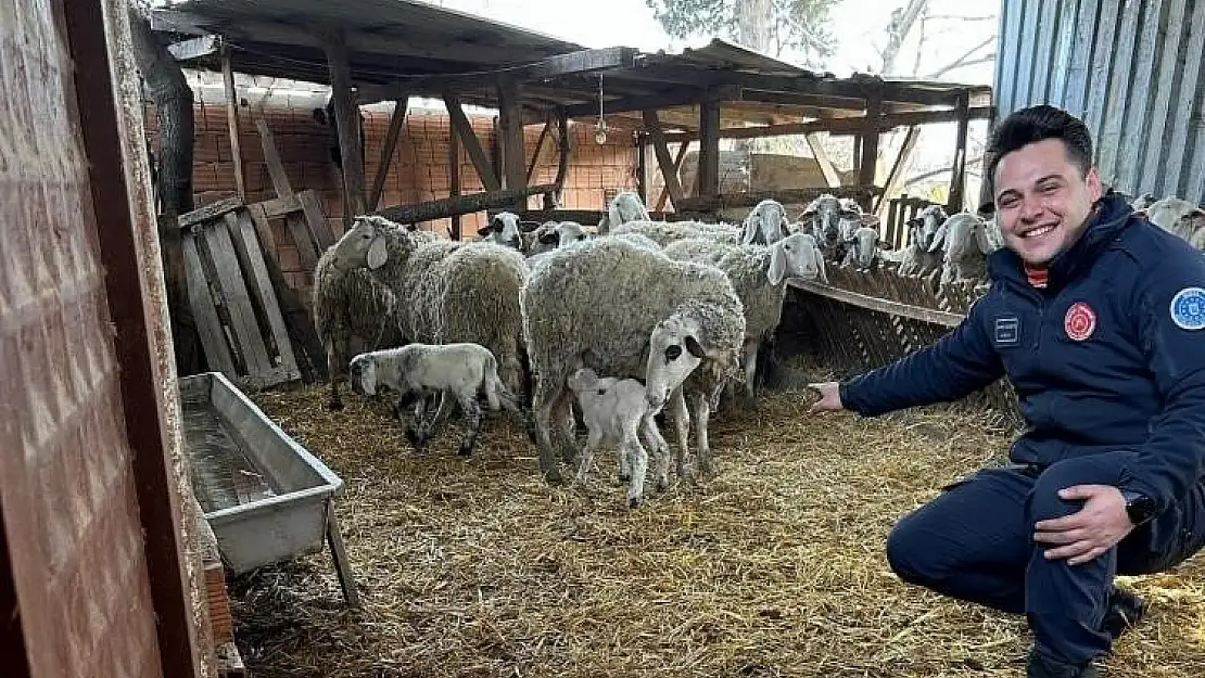 Kuyuya düşen kuzunun yardımına itfaiye yetişti!