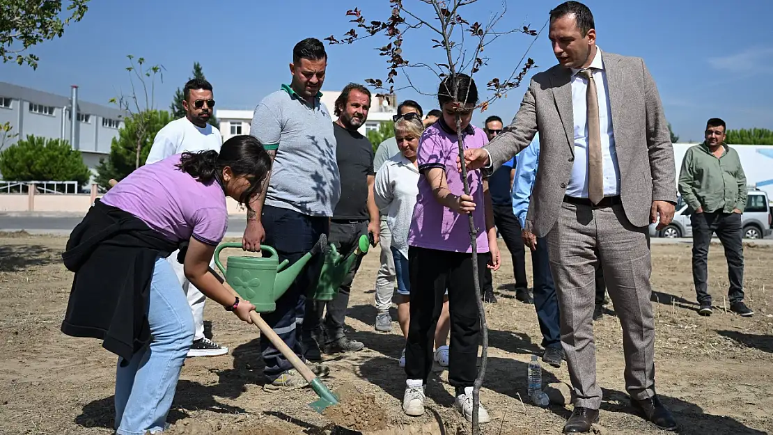 Laka'da doğaya can veriyorlar