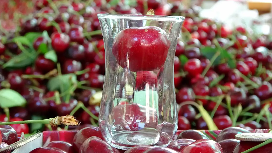 Lapseki'de çay bardağına sığmayan kirazın hasadı başladı!