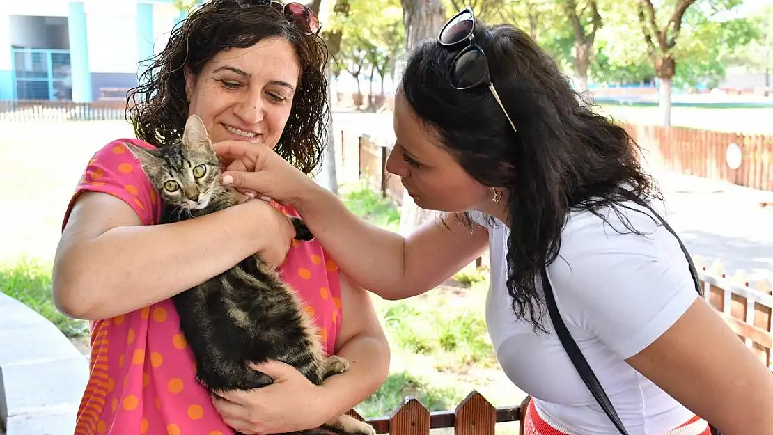 Manisa Büyükşehir Belediyesi ‘Can Dostlarımızı’ hayata bağlıyor