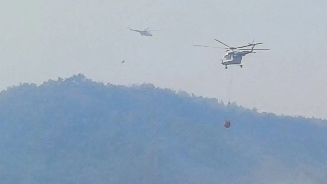 Manisa'daki orman yangını beşinci gününde 