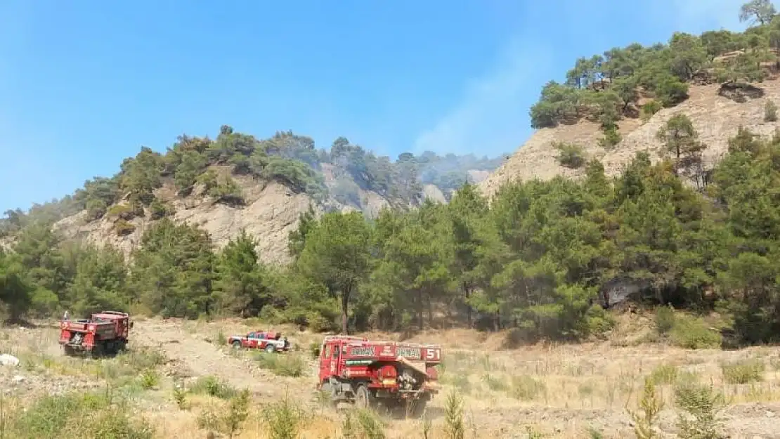 Manisa'daki orman yangınına müdahale devam ediyor