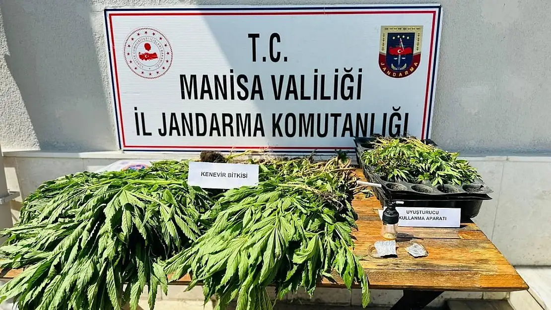 Manisa’da  7  ilçede uyuşturucu operasyonu