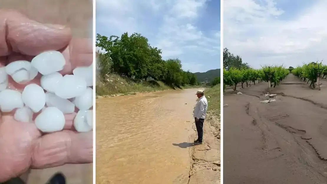 Manisa’da çay taştı, taşkın suları bağları vurdu