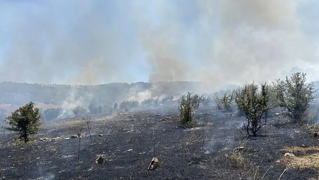 Manisa’da makilik alanda yangın