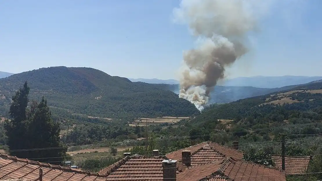 Manisa’nın Soma ilçesinde orman yangını çıktı