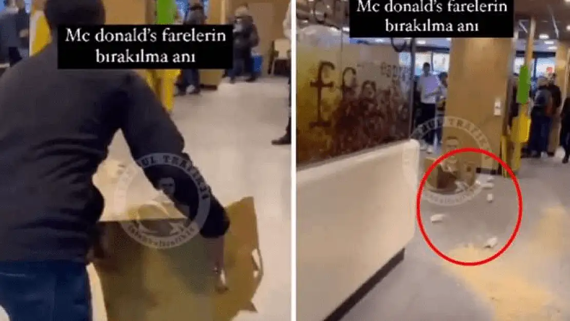 McDonald’s Şubesine fareli protesto: Müslümanların etlerini değil, alın bu fareleri yiyin