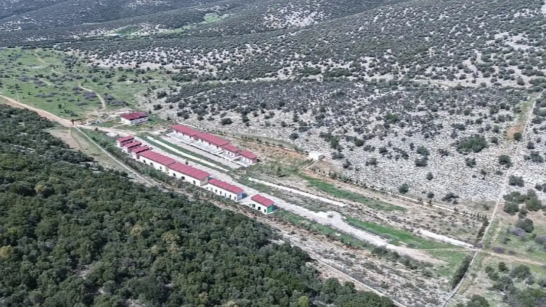 Menderes'te atıl durumdaki barınak yeniden hayat buluyor